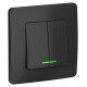 Blanca Антрацит С/У Выключатель 2-клавишный с подсветкой, 10А, 250B  BLNVS010516  SE