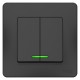 Blanca Антрацит С/У Выключатель 2-клавишный с подсветкой, 10А, 250B  BLNVS010516  SE