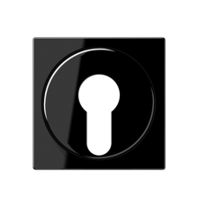 Крышка для выключателя с замком; черный A528PLSW Jung