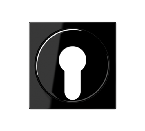 Крышка для выключателя с замком; черный A528PLSW Jung