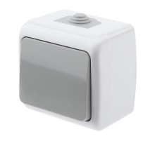 5-101-03 Выключатель, 10А-250В, IP54, ОУ, Atlantic, серый  Б0050940  Intro