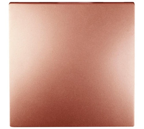 12-1111-14 Кнопка, 10АХ-250В, 12, медь   Б0047838  ЭРА