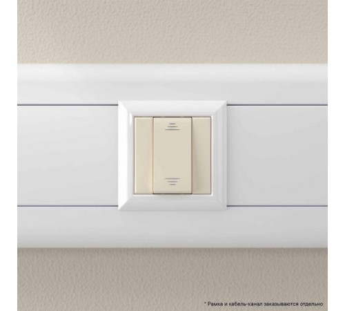 Инвертор (промежуточный переключатель) "Ванильная дымка", Avanti, 16A, 1 мод.  4405121  DKC