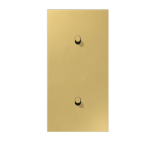 Центральная плата, 2 поста, для вертикальной установки, тумблеры 1+1,цилиндр; металлическое исполнение; латунь классик; серия LS  ME12-20CR25  Jung