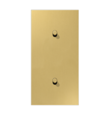 Центральная плата, 2 поста, для вертикальной установки, тумблеры 1+1,цилиндр; металлическое исполнение; латунь классик; серия LS  ME12-20CR25  Jung
