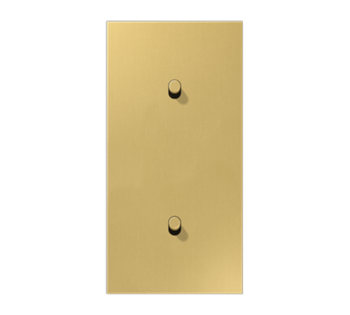 Центральная плата, 2 поста, для вертикальной установки, тумблеры 1+1,цилиндр; металлическое исполнение; латунь классик; серия LS  ME12-20CR25  Jung