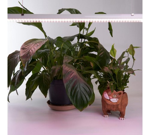 Светильник светодиодный линейный AL7002 14W AC185-265V, пластик, с выключателем, сетевым шнуром, коннектором 873*20*31мм  41355  Feron