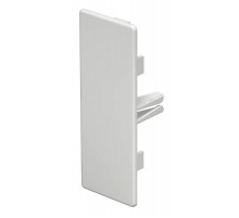 Торцевая заглушка кабельного канала WDK 40x110 мм (ПВХ,белый) (WDK HE40110RW)  6193242  OBO Bettermann