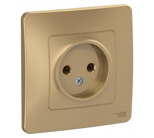 Blanca Титан С/У Розетка без заземления без шторок 16А, 250В  BLNRS000014  SE