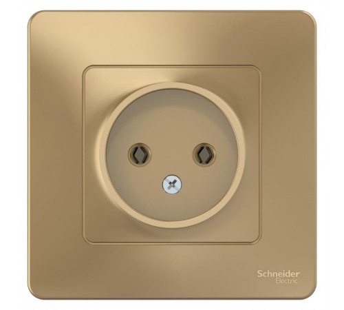 Blanca Титан С/У Розетка без заземления без шторок 16А, 250В  BLNRS000014  SE