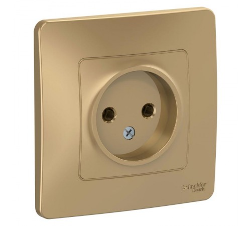 Blanca Титан С/У Розетка без заземления без шторок 16А, 250В  BLNRS000014  SE