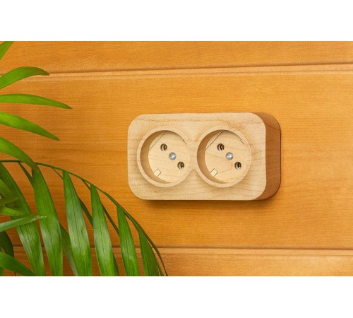 Quteo Сосна Розетка 2-я без заземления  782281  Legrand
