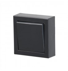 Переключатель накладного монтажа, Impressivo, антрацит  1066A-81   2TKA00001602  ABB