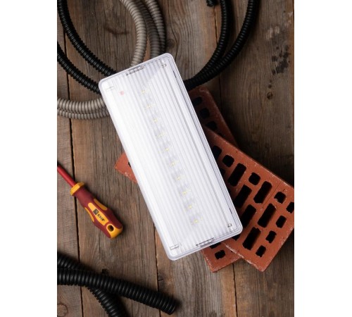 Светильник аварийного освещения SAFEWAY-10 LED  dpa-201  EKF