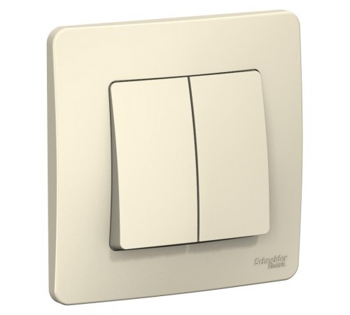 Blanca Молочный С/У Выключатель 2-клавишный 6А, 250В  BLNVS006502  SE