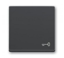 Клавиша для механизма 1-клавишного выключателя, c символом ""КЛЮЧ"" Future/Axcent/Carat/Династия, антрацит"  2CKA001751A3196  ABB