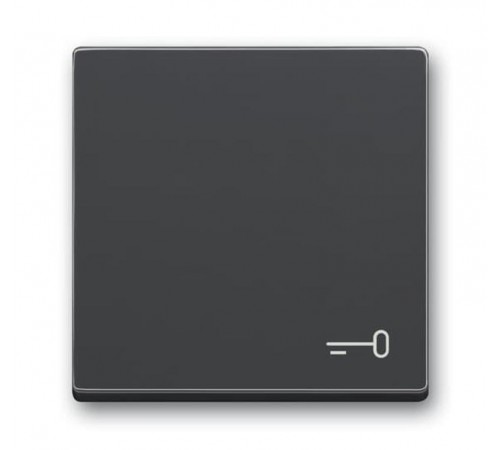 Клавиша для механизма 1-клавишного выключателя, c символом ""КЛЮЧ"" Future/Axcent/Carat/Династия, антрацит"  2CKA001751A3196  ABB