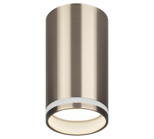 Светильник накладной подсветка OL16 GU10 SN , под GU10 (40/1600)  Б0049048  ЭРА