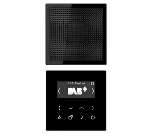 Цифровое радио DAB + DABLS1SW Jung