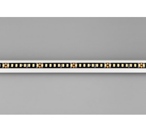 Лента светодиодная RT-5000-2835-160-24V Day4000 (Black 8mm, 12W/m, IP20) (arlight, -)  029427(1)  Arlight