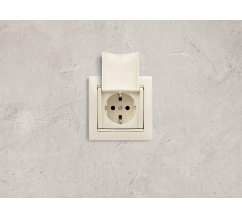 Valena Сл. кость Розетка 1-ая с/з с крышкой защ. шторки IP21  774322  Legrand