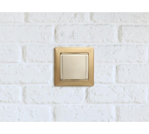 Valena Сл. кость Розетка 1-ая с/з с крышкой защ. шторки IP21  774322  Legrand