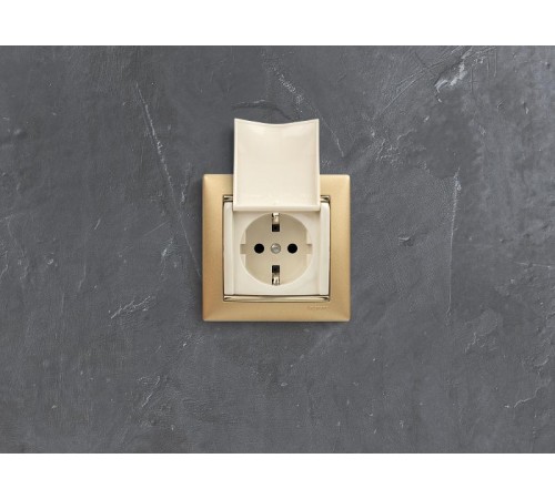 Valena Сл. кость Розетка 1-ая с/з с крышкой защ. шторки IP21  774322  Legrand