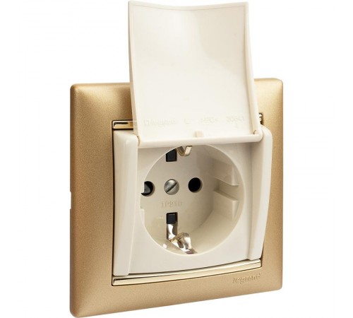 Valena Сл. кость Розетка 1-ая с/з с крышкой защ. шторки IP21  774322  Legrand