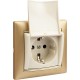Valena Сл. кость Розетка 1-ая с/з с крышкой защ. шторки IP21  774322  Legrand
