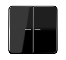 Клавиша для KNX кнопки, 2 группы с окошком; дюропласт; черный  CD102KO5SW  Jung