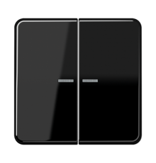 Клавиша для KNX кнопки, 2 группы с окошком; дюропласт; черный  CD102KO5SW  Jung