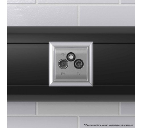 Розетка TV-FM-SAT модульная, "Avanti", "Закаленная сталь", 2 модуля  4404532  DKC