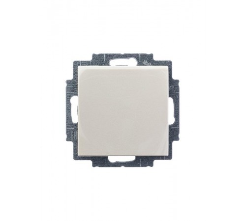 ABB Basic 55 Сл. кость Розетка с/з с крышкой  2018-0-0351   2CKA002018A0351  ABB