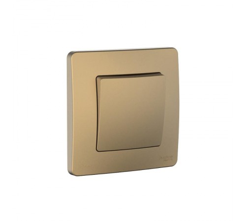 Blanca Титан С/У IP44 Переключатель 1-клавишный (сх.6), 10AX, 250В  BLNVS410604   SE