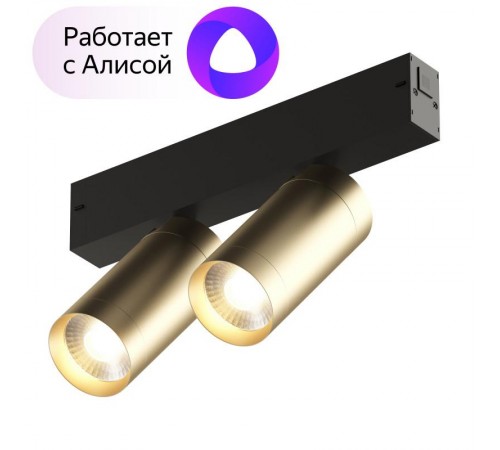 Светильник трековый акцентный DK8012-BG SMART SPOT DOUBLE 2x9W DIM 3000K-6000K, матовое золото с черным  DK8012-BG  DENKIRS