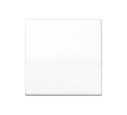 Одинарная клавиша для балансирных механизмов выключателей (кнопок), в комплекте с AS90HP (крепежный элемент), возможно IP44; дюропласт; белый; AS500 