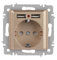 Розетка Intro Accent 6-410-04 , P+E Schuko со шторками, 16А-250В + 2хUSB, IP20, СУ, шампань  Б0063696  Intro