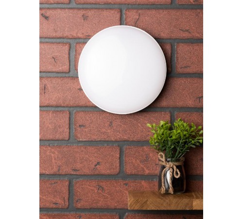 ДПО-2002-K 12Вт 4000К IP65 EKF PROxima  BKL-2002-R-12-4000  EKF