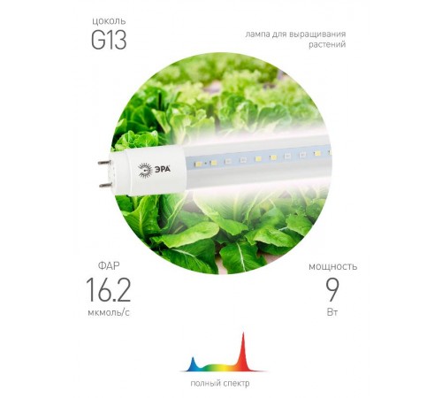 Лампа светодиодная Т8 фито для растений 9Вт G13 белый спектр ЭРА FITO-9W-Ra90-Т8-G13-NL  Б0042988  ЭРА
