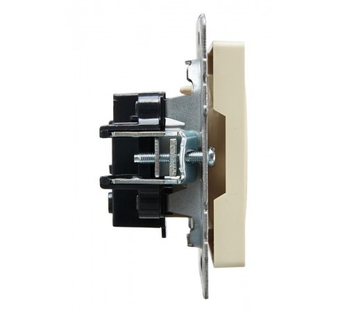 BRITE Розетка без заземления без шторок10А РС10-1-0-БрКр бежевый  BR-R10-10-K10  IEK