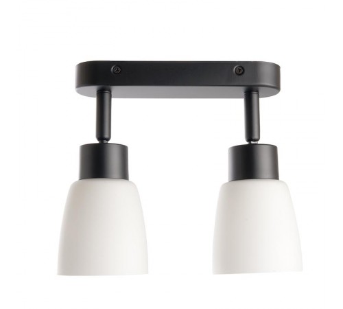 Светильник-спот настенно-потолочный под лампу 2хE27, черный ML242  41514  FERON