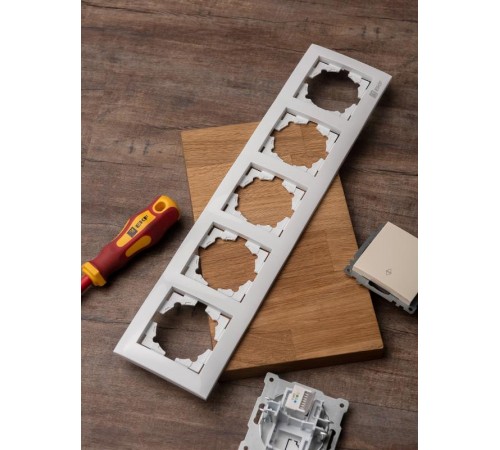 Валенсия рамка 5-местная белая EKF PROxima  EWM-G-305-10  EKF