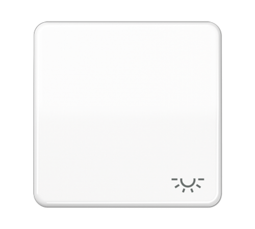 Клавиша ударопрочная с символом "освещение"; белая  CD590BFLWW  Jung