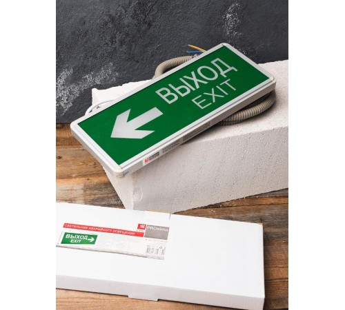 Световой указатель аварийного освещения светодиодный EXIT-202 LED EKF Proxima 3Вт 1,5ч комбинированный потолочный  EXIT-DS-202-LED  EKF