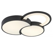 Светильник потолочный светодиодный  Aliona 6161-702 LED 68 Вт 3000 - 6000 К с пультом  Б0066452  Rivoli