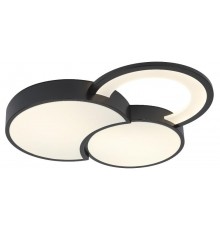 Светильник потолочный светодиодный  Aliona 6161-702 LED 68 Вт 3000 - 6000 К с пультом  Б0066452  Rivoli