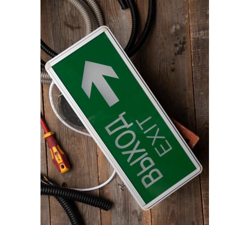 Световой указатель аварийного освещения светодиодный EXIT-202 LED EKF Proxima 3Вт 1,5ч комбинированный потолочный  EXIT-DS-202-LED  EKF