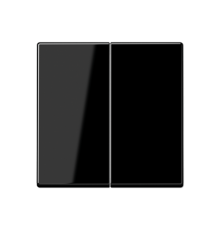 Центральная плата 2 группы стандарт; дуропласт; черный  A1702SW  Jung