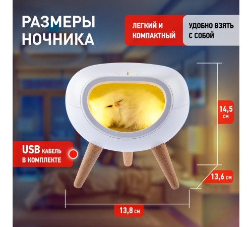 Светильник-ночник светодиодный настольный NLED-467-1W-W "Котенок в домике", белый   Б0052814  ЭРА