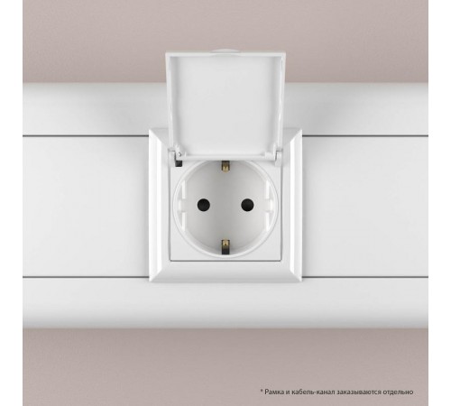 Розетка 2P+E, с з/ш, "Avanti" IP41, белая  4400012  DKC